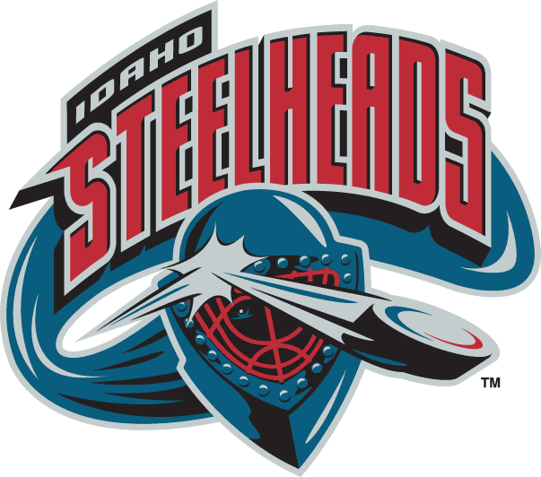 idaho steelheads 2003-2006 primary logo iron on heat transfer